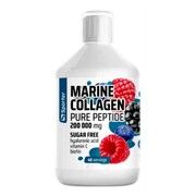 Collagen peptide 200000 (fish) без сахара berry Sporter 500 мл - Фото