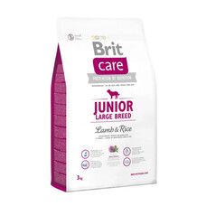Сухой корм для щенков и молодых собак крупных пород (весом от 25 кг) Brit Care Junior Large Breed Lamb & Rice 3 кг (ягненок и рис) - Фото