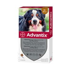 Адвантикс (инсектоакарицид) для собак свыше 40-60 кг 1 упаковка (4 пипетки*6мл)  - Фото