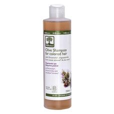 Оливковий шампунь для фарбованого волосся Bioselect 250 мл - Фото