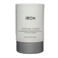 Липосомальное Железо (Iron) 30 капсул - Фото