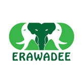 Erawadee, Таиланд
