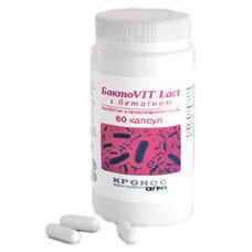 БактоVIT Lact с бетаином добавка диетическая, пробиотик 0,5 г №60 - Фото