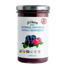  Ягодный микс черника+брусника+черная смородина паста 545 г - Фото