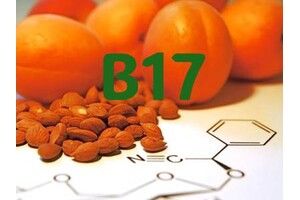 Вітамін В17 (амігдалін): правда про лікування раку, користь та шкода Вітамін В17 (амігдалін): правда про лікування раку, користь та шкода