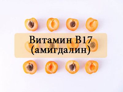 Что такое витамин б 17
