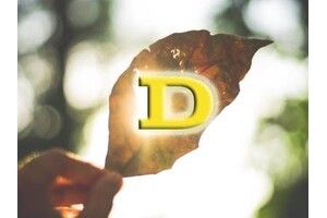 Вітамін D восени: чому час починати його приймати