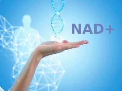 NAD+ (нікотинамід аденін динуклеотид): користь, властивості, спосіб застосування