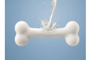 Как укрепить кости: советы для здоровья опорно-двигательной системы