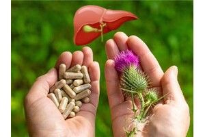 Чем полезна расторопша для печени