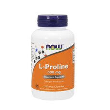 L-Пролин (L-Proline) 500 мг ТМ Нау Фудс / Now Foods 120 растительных капсул - Фото