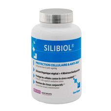 Силибиол INELDEA клеточная защита и антивозрастное действие 90 капсул - Фото
