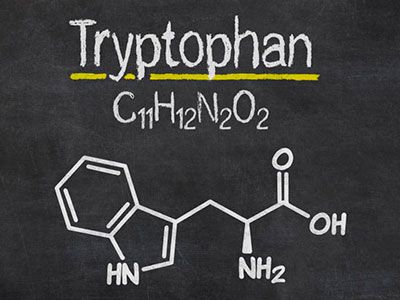 Триптофан - что за аминокислота и где она содержится