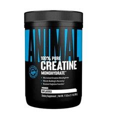 Креатин моногидрат Animal 100% Pure Creatine Monohydrate 500 г - Фото