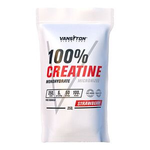 Креатина моногидрат Creatine Power 250 г Клубника ТМ Ванситон / Vansiton Креатина моногидрат Creatine Power 250 г Клубника ТМ Ванситон / Vansiton
