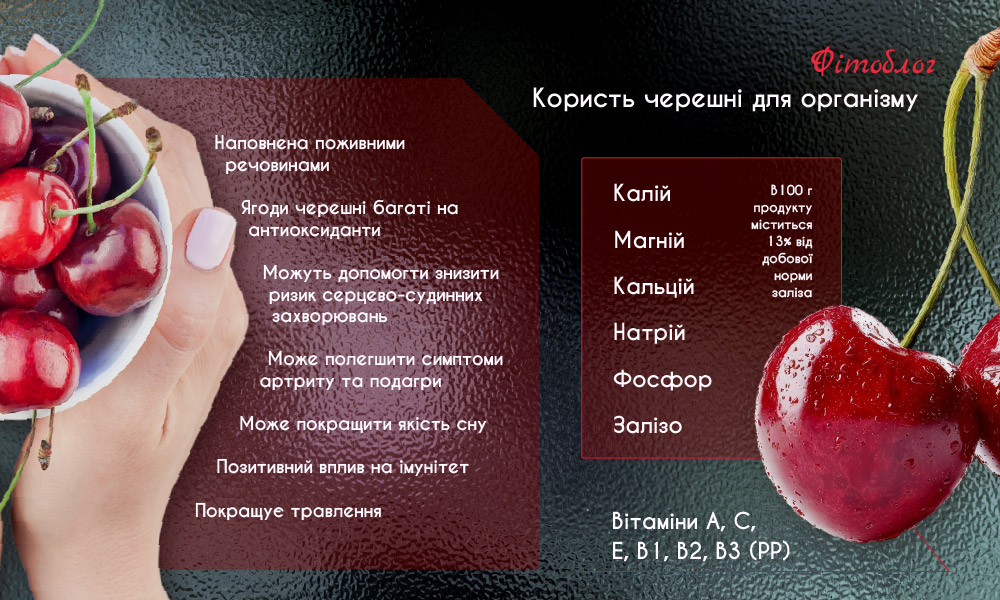 Черешня: користь та шкода ягід