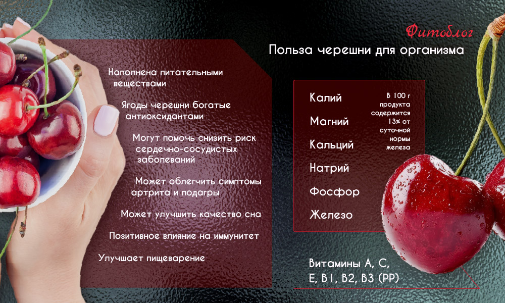 Черешня: польза и вред ягод