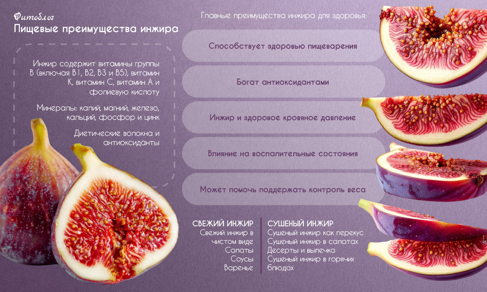 Что такое инжир, и где он растет