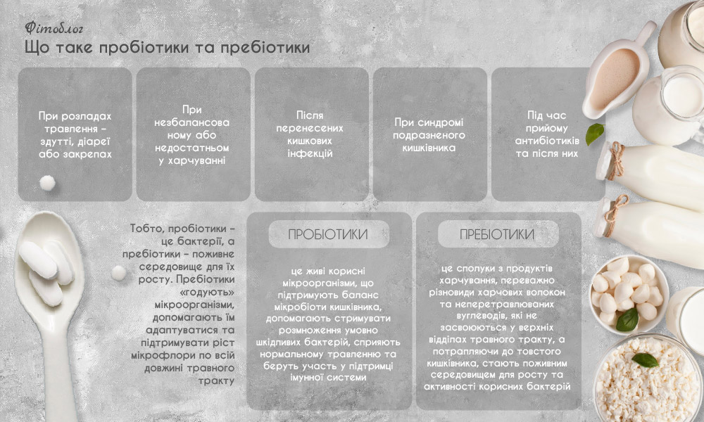 Що таке пробіотики та пребіотики