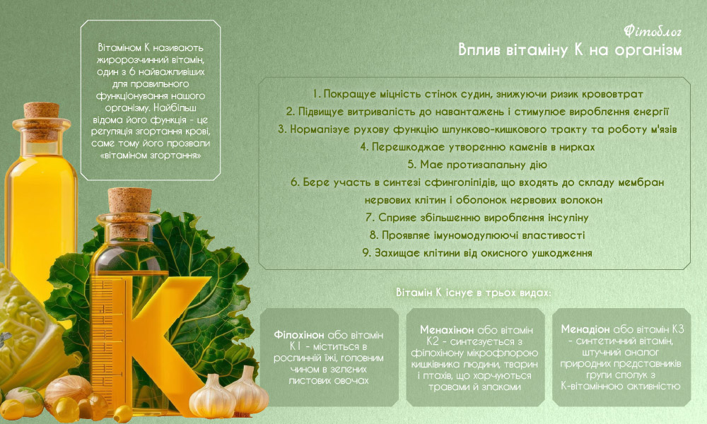 Вплив вітаміну К на організм