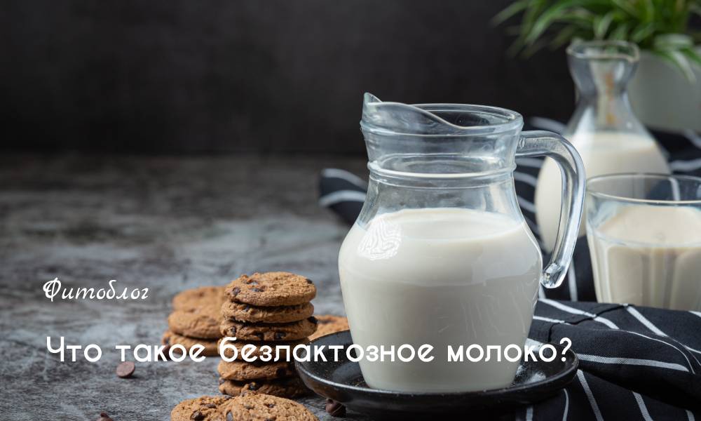 Что такое безлактозное молоко