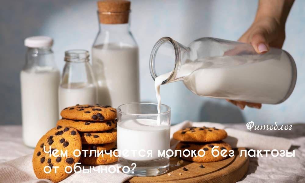 Чем отличается молоко без лактозы от обычного