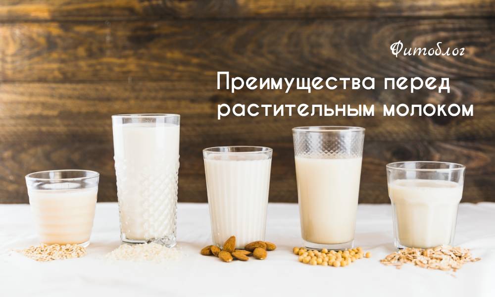 Преимущества перед растительным молоком