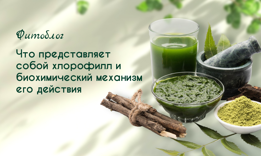 биохимический механизм