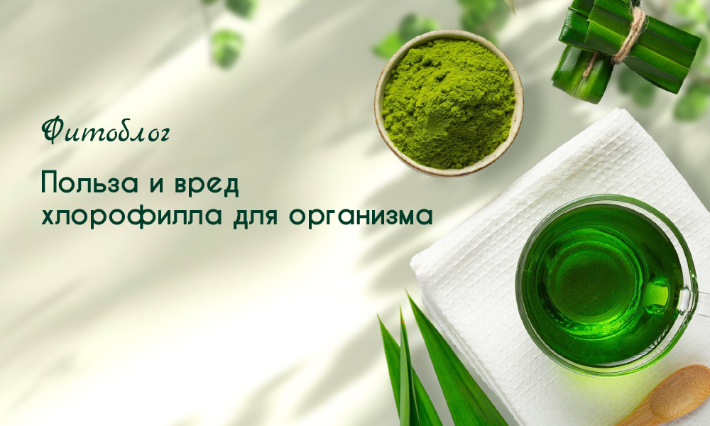 польза и вред