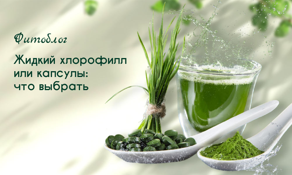 жидкий хлорофилл или капсулы