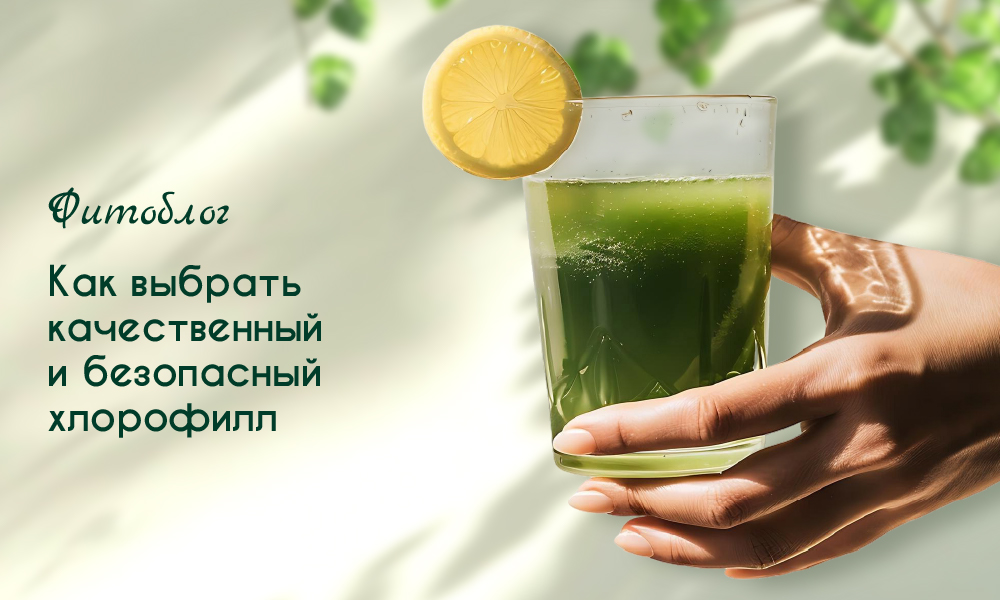 как выбрать хлорофилл