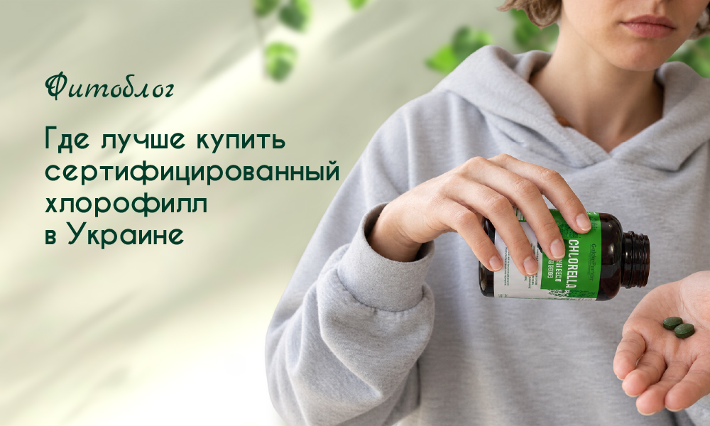 где купить