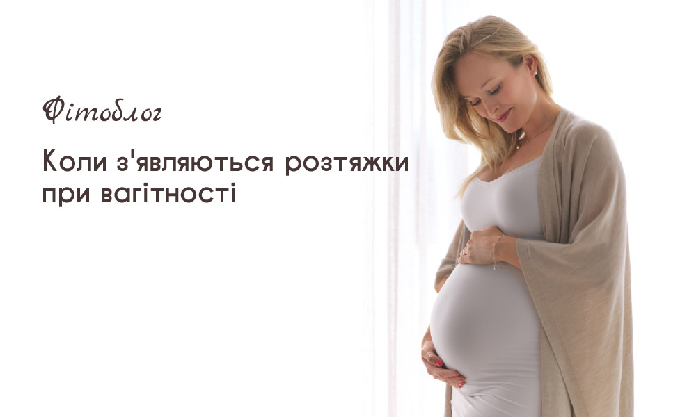 Коли з'являються розтяжки при вагітності