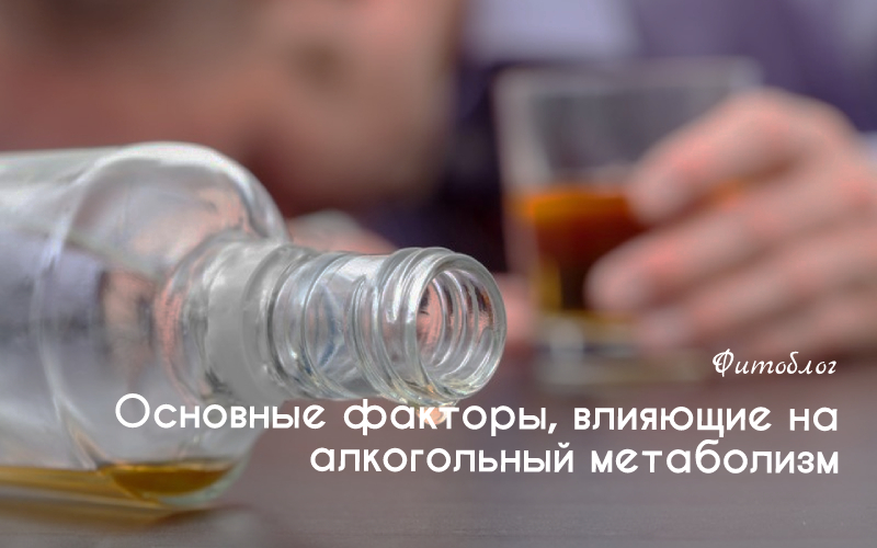 Основные факторы влияющие на алкогольный метаболизм 