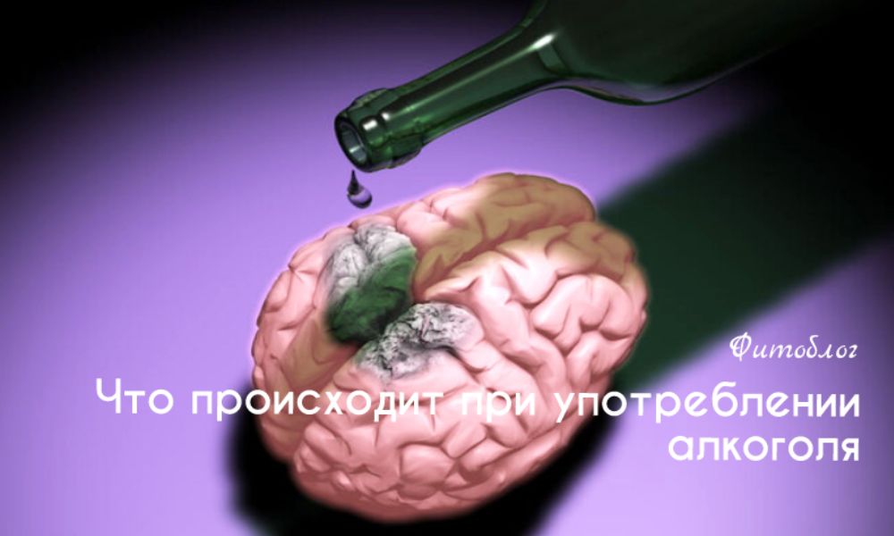 Что происходит при употреблении алкоголя?