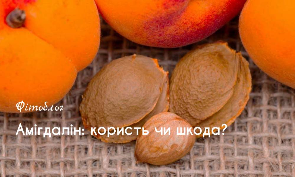 Амігдалін: користь чи шкода?
