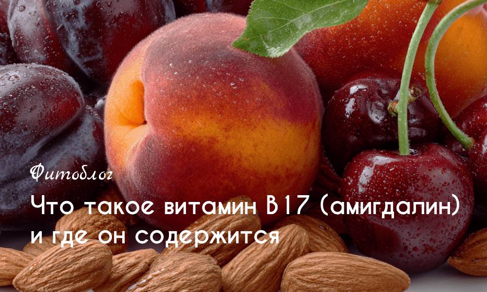 Что такое витамин В17 (амигдалин)