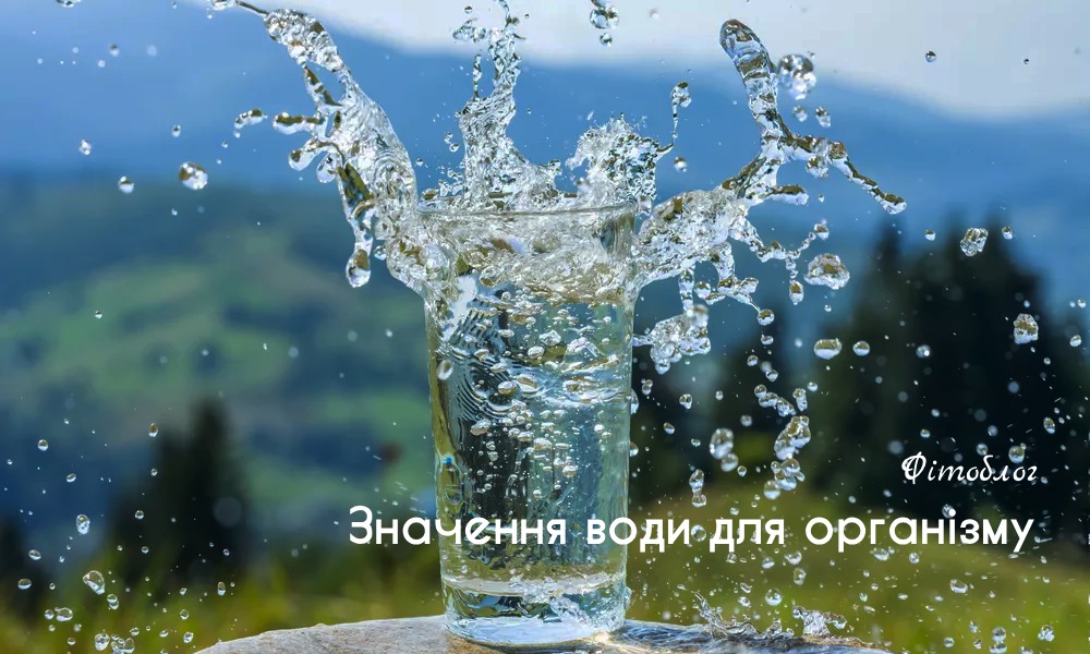Значення води для організму
