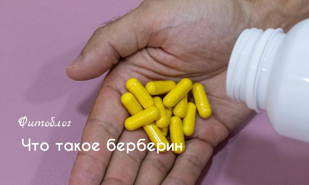 Что такое берберин