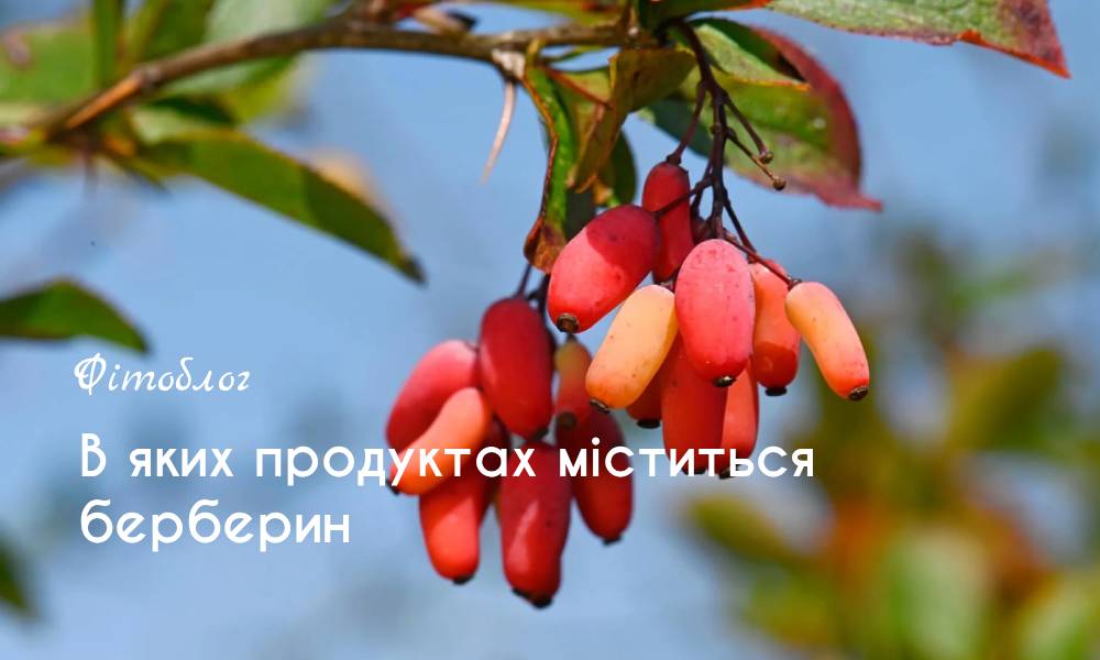 У яких продуктах міститься берберин