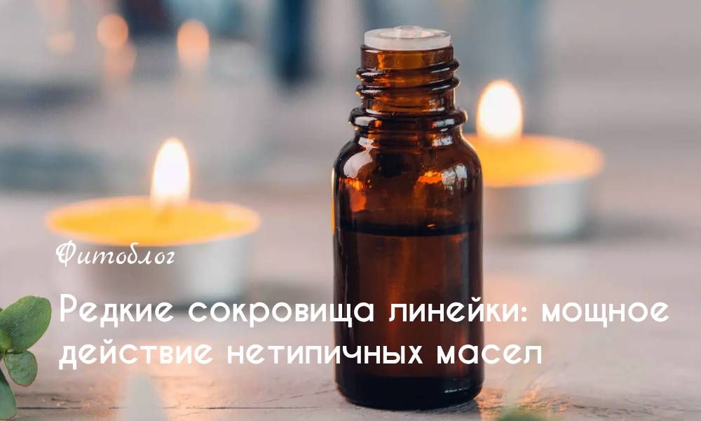 Редкие сокровища линейки: мощное действие нетипичных масел