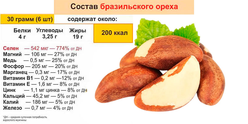 Настойка грецкого ореха-свойства и применение