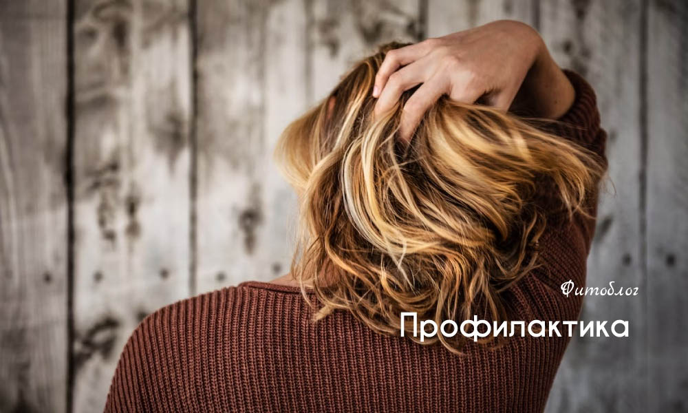 Профилактика