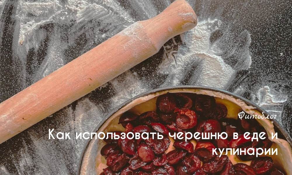 Как использовать черешню в еде и кулинарии 