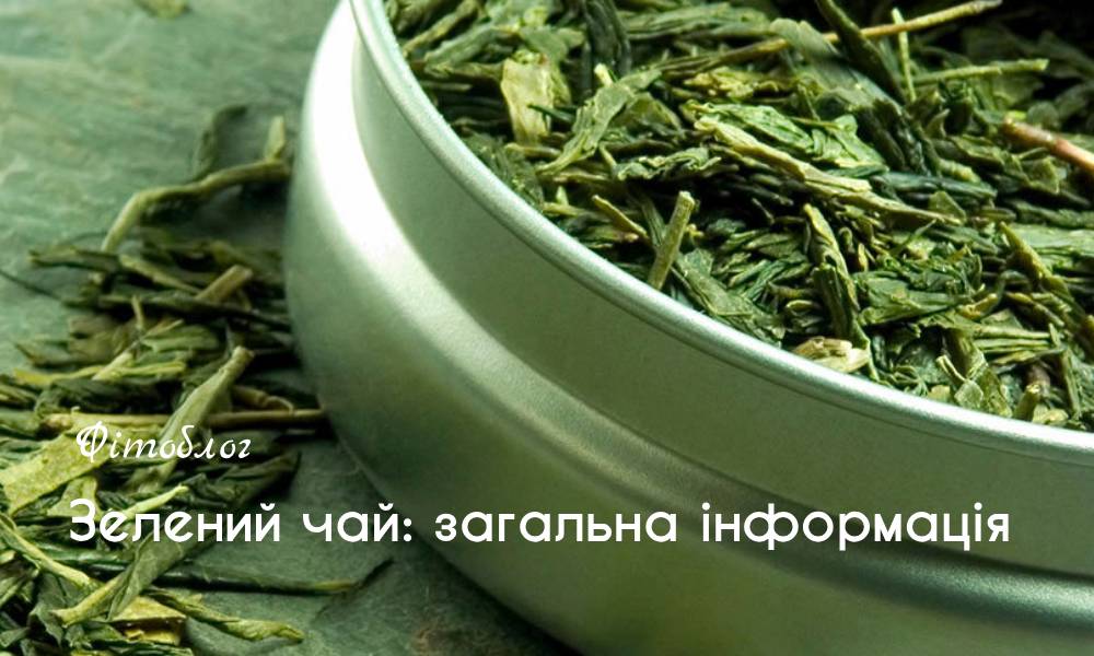 Зелений чай: загальна інформація