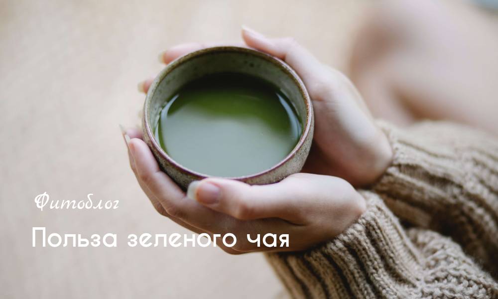 Польза зеленого чая