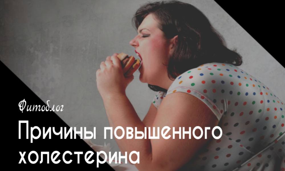 Причины повышенного холестерина