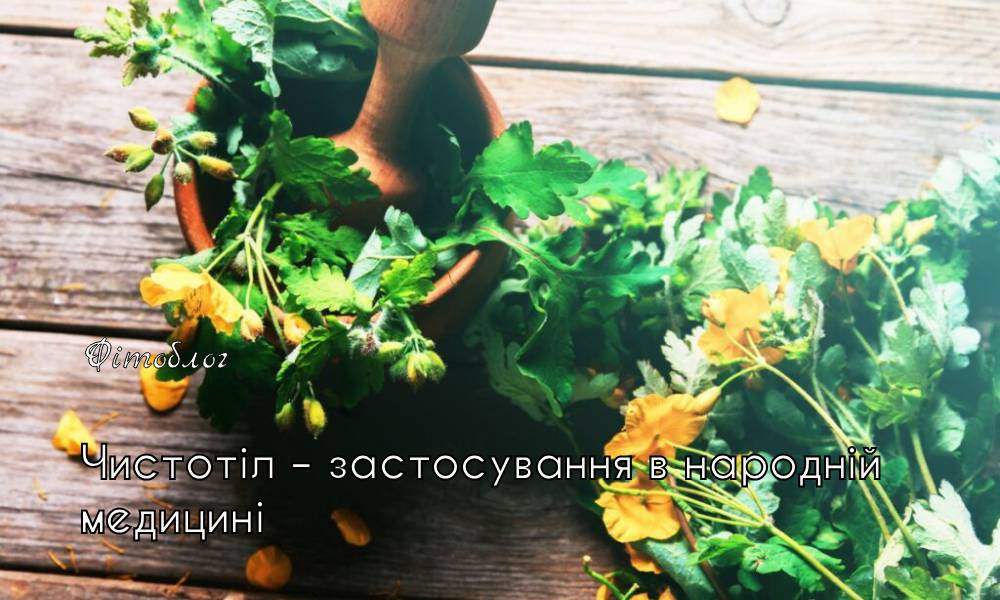 чистотіл медицина
