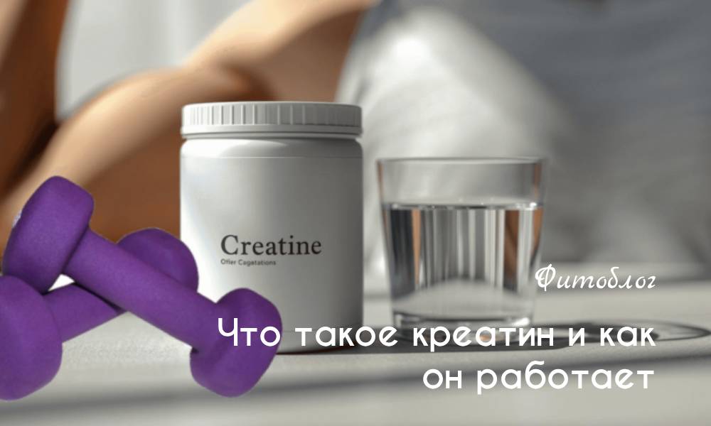 Что такое креатин и как он работает