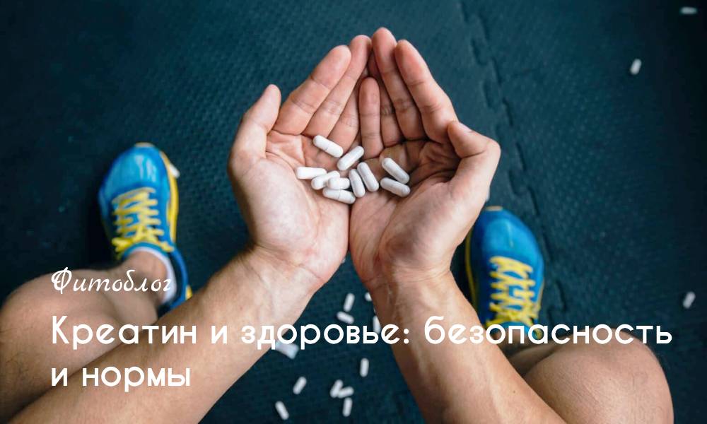 Креатин и здоровье: безопасность и нормы